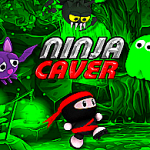 Ninja Caver