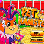Pet Hamster
