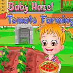 Bébé Hazel – Culture des Tomates