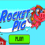 Rocket Pig Test