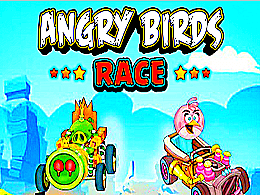 Angry birds race