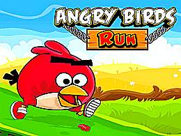 Angry birds run