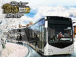 Winter bus driver