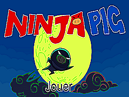 Ninja pig