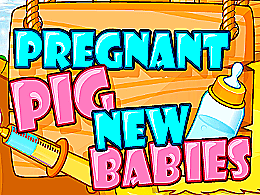 Pregnant pig new babies