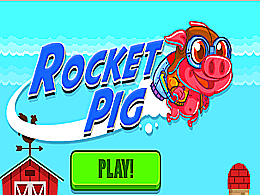 Rocket pig test