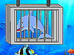 Evasion du dauphin