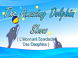 Incroyable spectacle de dauphins