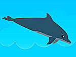 Plongeon de dauphin