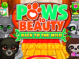Paws to beauty 7