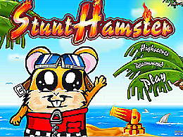 Stunt hamster