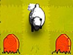 Dont stop the sheep
