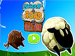 Sheep road danger