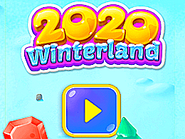 2020 winterland