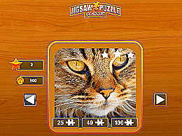 Jigsaw puzzle classic