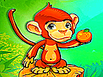 Fruit monkey