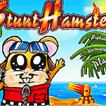 Stunt Hamster