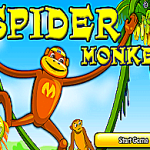 Spider Monkey